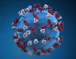  صوت الإمارات - دراسة تكشف تأثير الضوء فوق البنفسجي على الفيروسات التاجية المعدية