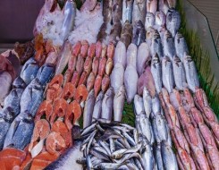  صوت الإمارات - الإفراط في تناول بعض الأسماك  قد يؤدي إلى الإصابة بالزهايمر