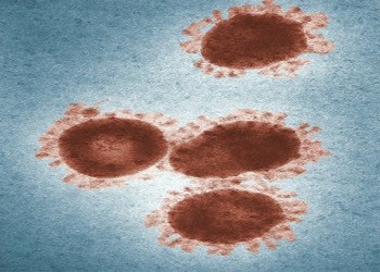  صوت الإمارات - الكشف عن أعراض" إنفلونزا الطماطم" فيروس جديد قادم من الهند