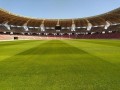  صوت الإمارات - "غزو النحل" يوقف مباراة تنس في بطولة إنديان ويلز