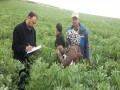  صوت الإمارات - "البيئة الإماراتية" تصدر قراراً بشأن استخدام المبيدات في المنتجات الزراعية والغذائية