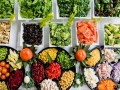  صوت الإمارات - دراسة تكشف أن اتباع نظام غذائي يحاكي تأثير الصيام دون تجويع النفس يمكن أن يطيل العمر البيولوجي لسنوات