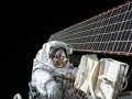  صوت الإمارات - "سبيس إكس" تطلق طاقم" ناسا" إلى المدار