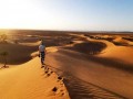  صوت الإمارات - شجر الغاف يعزز الاستدامة و ينثر روح التسامح في إكسبو 2020 دبي