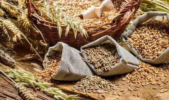  صوت الإمارات - الإمارات تُصدر قراراً وزارياً بشأن وقف تصدير القمح ذي المنشأ الهندي لمدة 4 أشهر