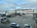  صوت الإمارات - "الاتحاد للطيران" تُمدد رحلاتها الموسمية إلى زنجبار حتى يناير 2023