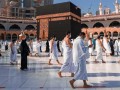  صوت الإمارات - حكم السفر للمرأة لأداء فريضة الحج دون محرم