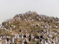  صوت الإمارات - توافد أفواج الحجاج إلى مشعر منى لرمي جمرة العقبة وسط انسيابية في الحركة وتنظيم دقيق
