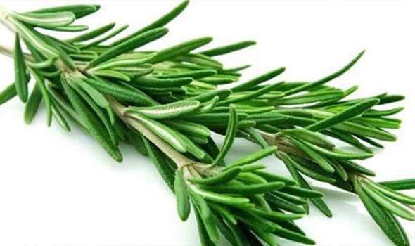 أفضل 5 أطعمة نباتية لرفع الهيموغلوبين ومكافحة فقر الدم