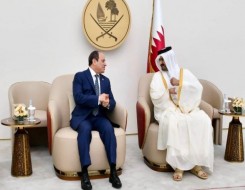 صوت الإمارات - الرئيس السيسي وأمير قطر يشدّدان على أهمية تشكيل جبهة عربية موحدة لحماية الأمن القومي العربي