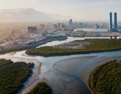  صوت الإمارات - الإمارات تشارك في معرض "تراثنا" للحرف اليدوية بالقاهرة تأكيداً لعمق العلاقات مع مصر