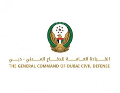  صوت الإمارات - الدفاع المدني تسيطر على حريق بمحيط مطار دبي الدولي