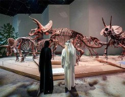  صوت الإمارات - أبوظبي تواصل تعزيز مكانتها مركزاً عالمياً للثقافة والسياحة عبر مشاريع ثقافية كبرى