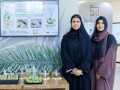  صوت الإمارات - فريق بحثي في جامعة الإمارات يطور شايًا عشبيًا من براعم النخيل وثمار البلح الخضراء